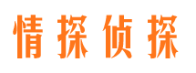 玛多市侦探调查公司